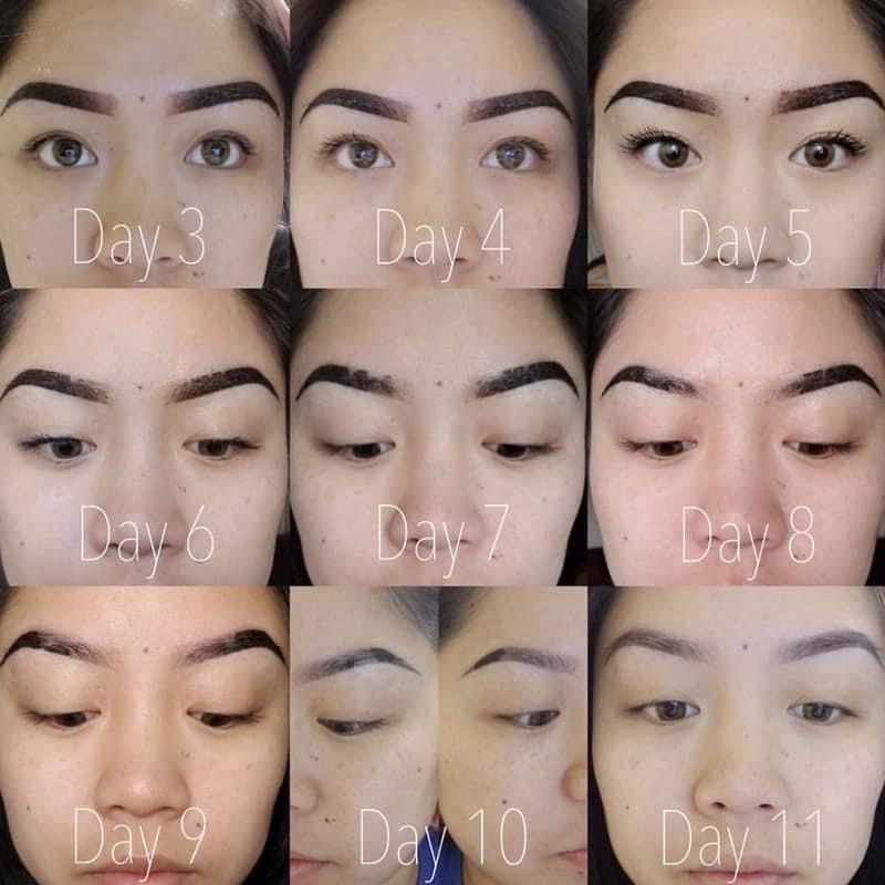 Ombre powder brows healing process